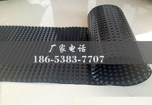 排水板廠家http://www.zhuyipaimai.com/
