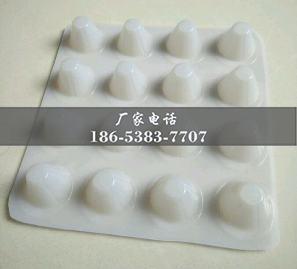 排水板廠家http://www.zhuyipaimai.com/