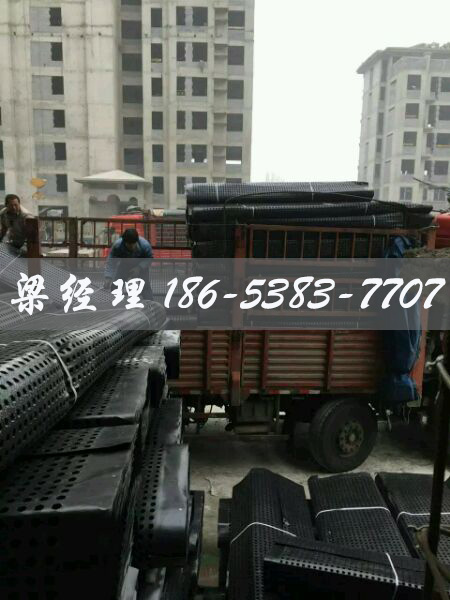 排水板廠家http://www.zhuyipaimai.com/